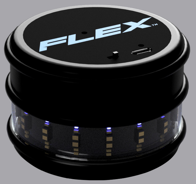 FLEX Sensor